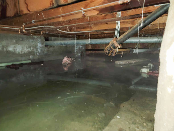 Best Local water damage restoration  in Janesville, WI