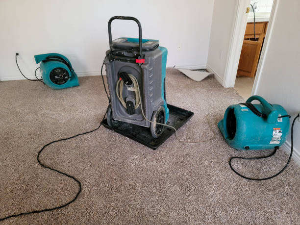 Best Mold removal after water damage  in Janesville, WI