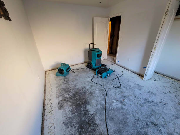 Best Carpet water damage restoration  in Janesville, WI