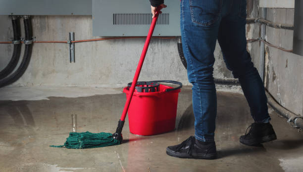 Best Water damage restoration near me  in Janesville, WI