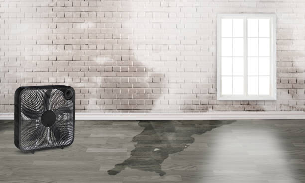 Janesville, WI Water damage restoration Company