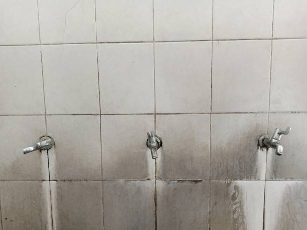 Best Flood damage cleanup  in Janesville, WI