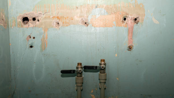Best Emergency water damage restoration  in Janesville, WI