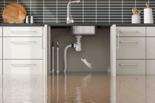 Best Mold removal after water damage  in Janesville, WI